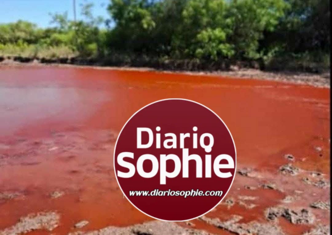 Impresionante Fenómeno en Taco Pozo, Chaco: ¡El Agua de un Reservorio se Tiñe de Rojo!