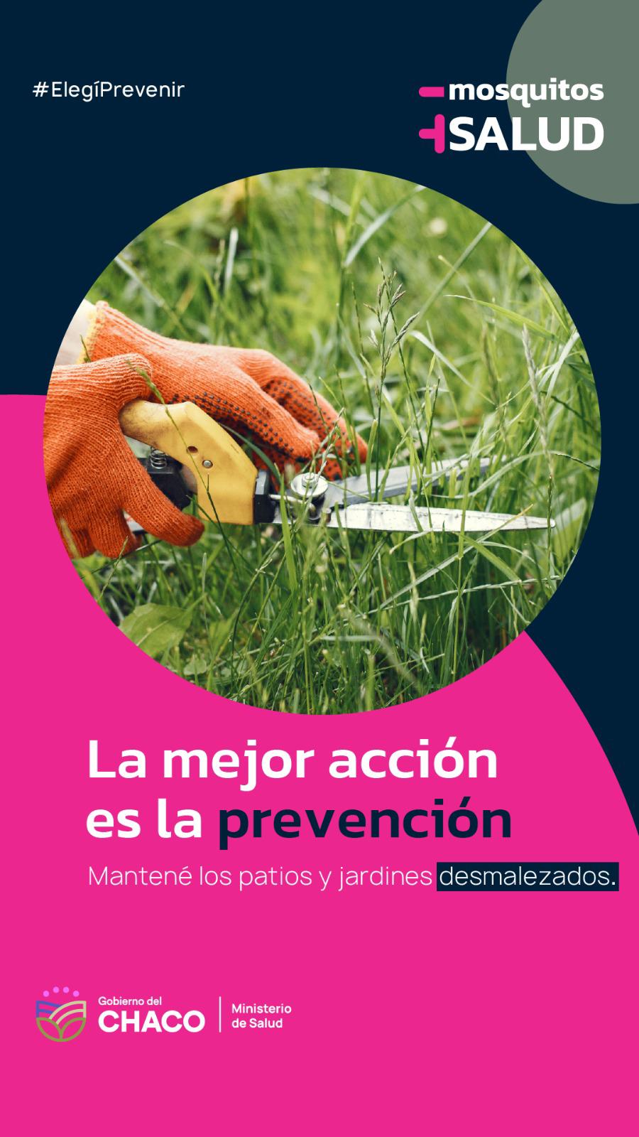 La mejor acción es la prevención