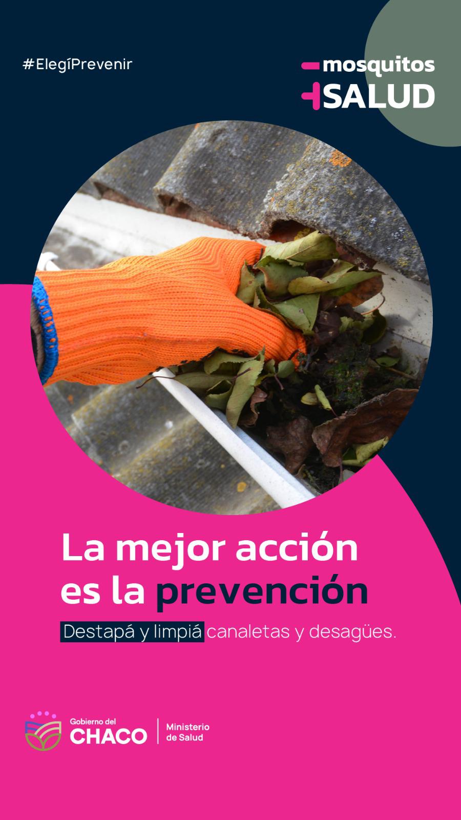 La mejor acción es la prevención