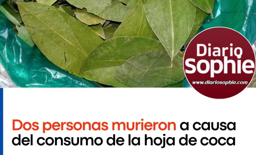 Dos Personas murieron a causa del consumo de la hoja de coca.