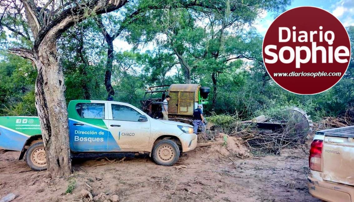 BOSQUES DETECTÓ DOS DESMONTES ILEGALES EN FUERTE ESPERANZA Y EN TACO POZO