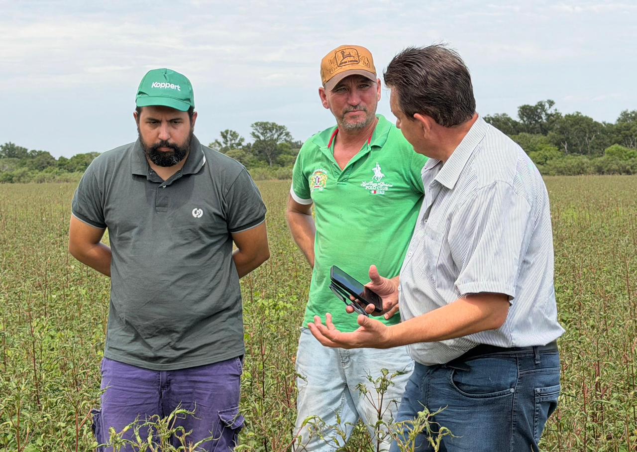 LAS BREÑAS: EL GOBIERNO PROVINCIAL ENDURECE CONTROLES CONTRA EL USO DE HERBICIDAS PROHIBIDOS