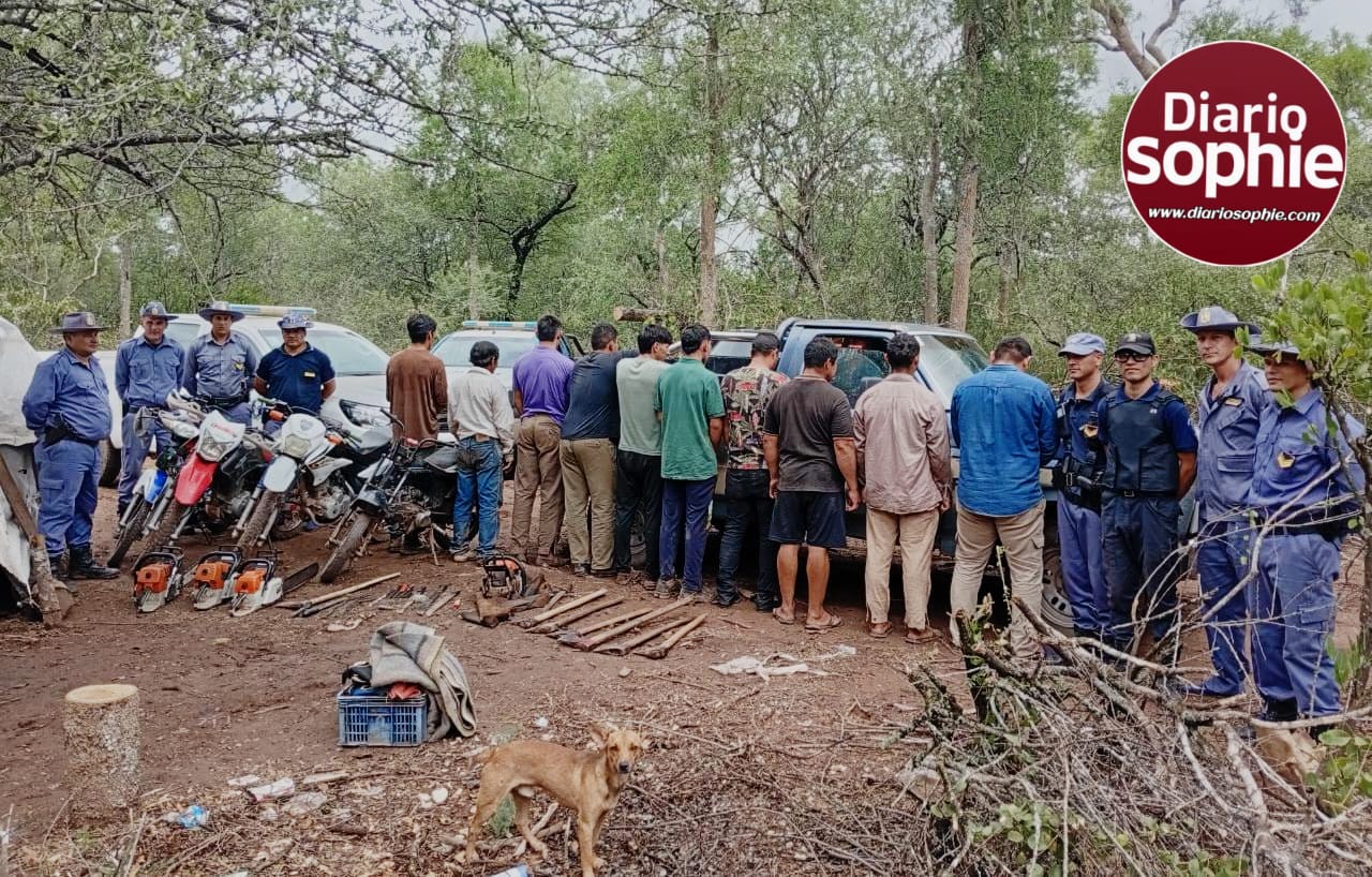 Operativo masivo en Fuerte Esperanza: Cae banda de taladores ilegales y traficantes de madera.