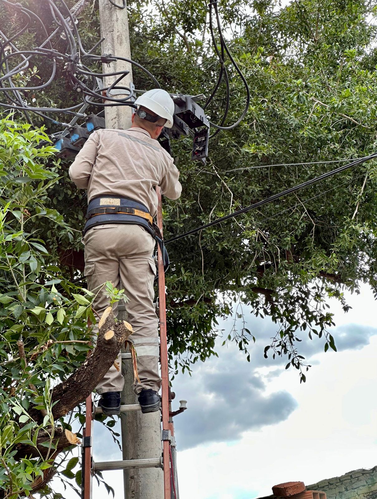 INTENSO OPERATIVO DE SECHEEP TRAS LA TORMENTA DE AYER: SE NORMALIZÓ EL SERVICIO EN EL ÁREA METROPOLITANA
