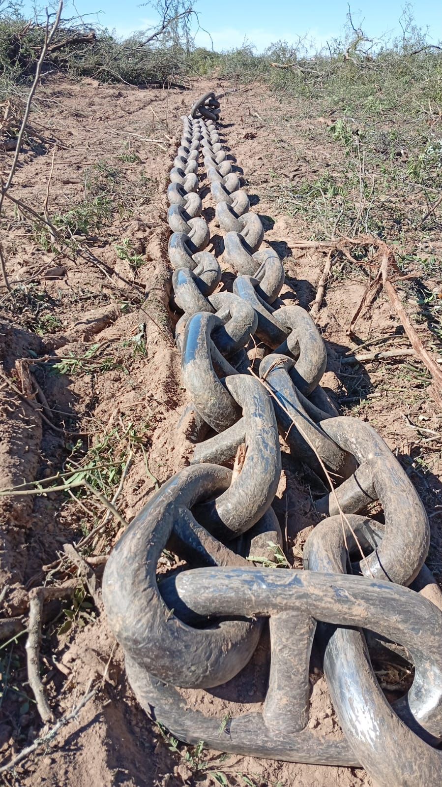 LOS FRENTONES: SECUESTRARON 4 TOPADORAS, TRAS DETECTAR UN DESMONTE ILEGAL  DE 550 HECTÁREAS
