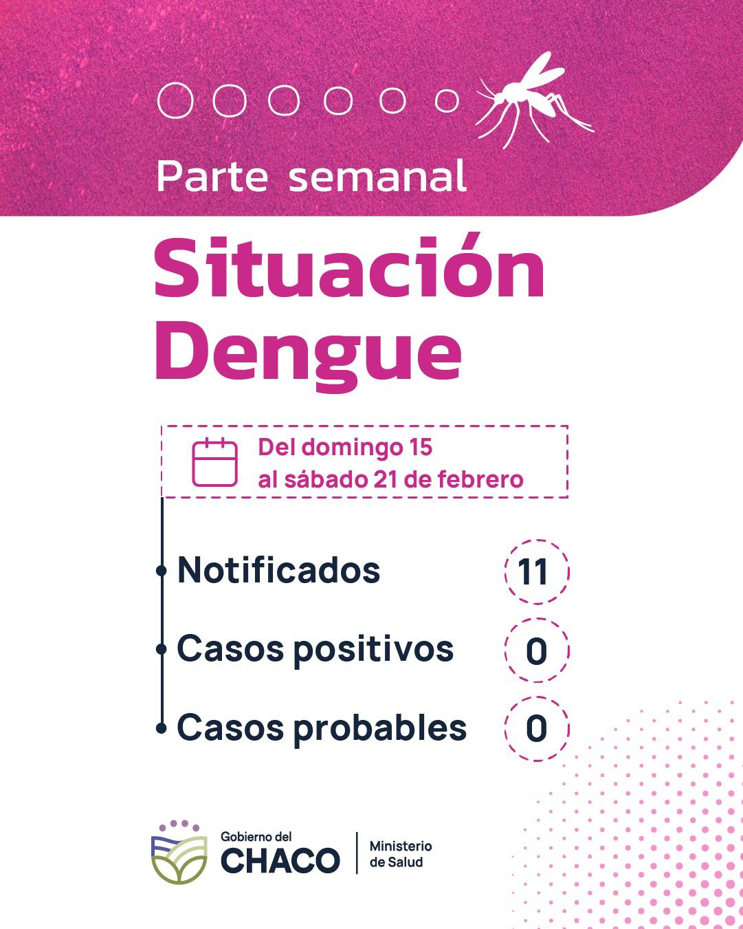 CHACO SIN DENGUE: NO SE REGISTRARON CASOS POSITIVOS, NI PROBABLES EN LA ÚLTIMA SEMANA