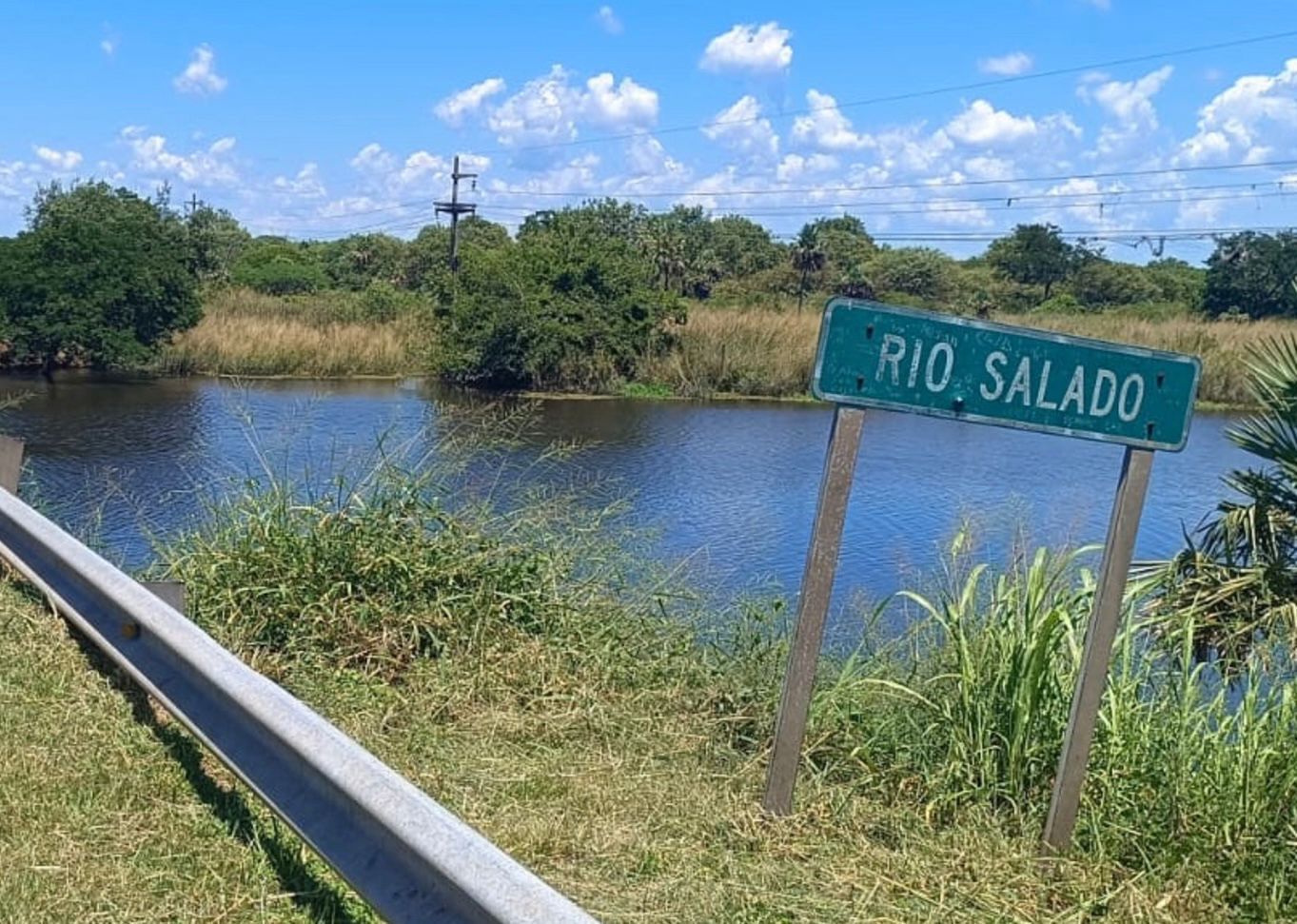 ADMINISTRACIÓN PROVINCIAL DEL AGUA: DESVÍO CONTROLADO DEL RÍO NEGRO BENEFICIA A LA PRODUCCIÓN GANADERA