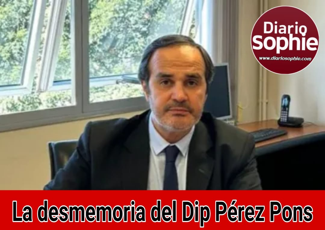 La desmemoria del diputado Pérez Pons.