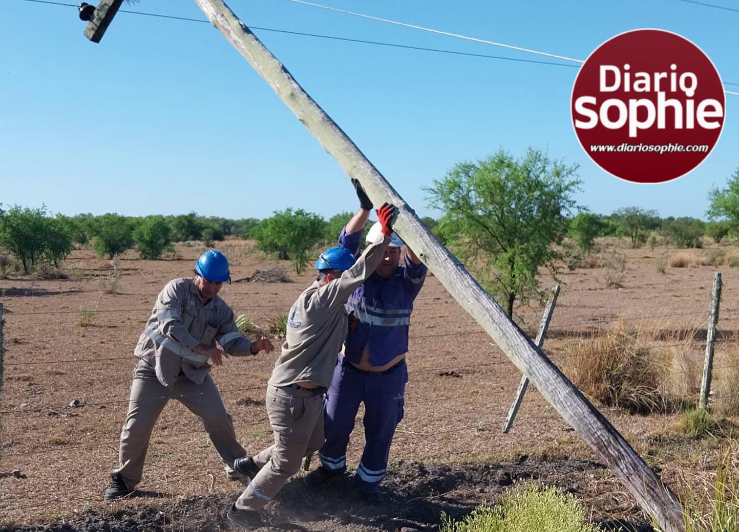 EN BASAIL, SECHEEP CULMINÓ LA REPARACIÓN DE LA RED ELÉCTRICA DAÑADA POR INCENDIOS RURALES