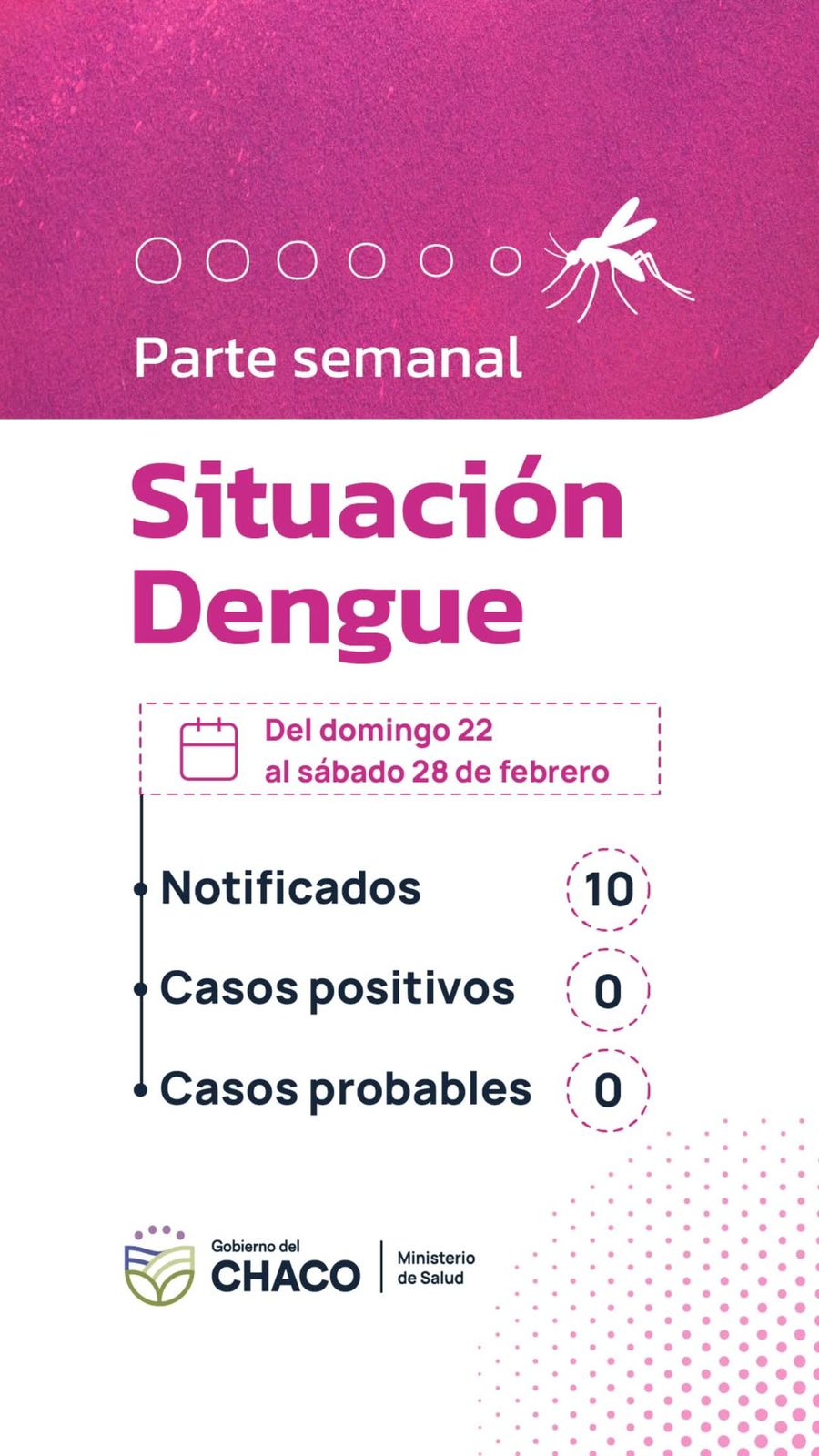 CHACO SIN DENGUE: REFUERZAN LA PREVENCI&Oacute;N EN TODA LA PROVINCIA