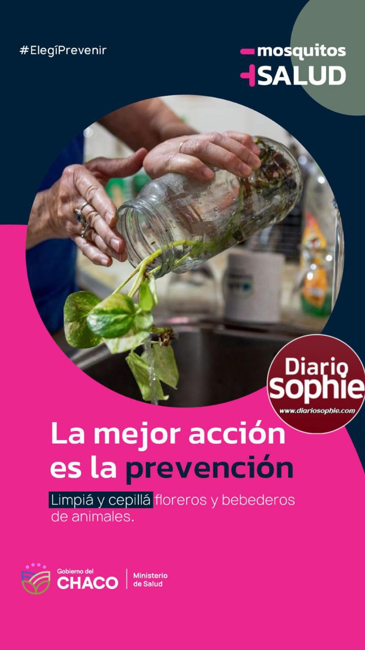 La mejor acción es la prevención