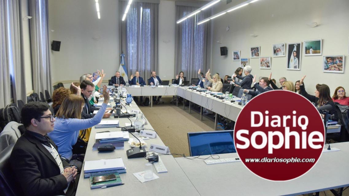 CHACO PARTICIPÓ EN EL CONSEJO FEDERAL DE EDUCACIÓN: ALFABETIZACIÓN, SECUNDARIA, Y OTROS TEMAS