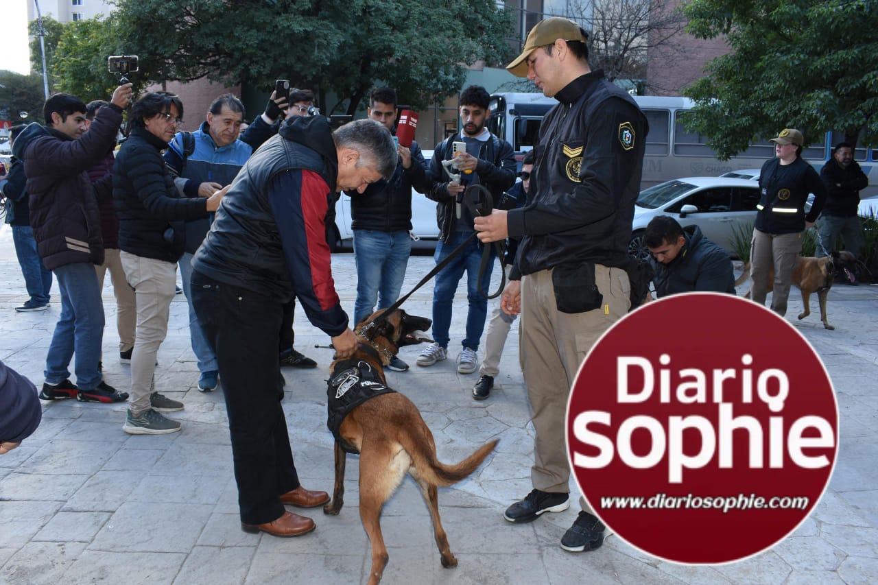 EL MINISTRO MATKOVICH DESTACÓ LOS RESULTADOS DE LA LUCHA FRONTAL CONTRA EL NARCOTRÁFICO