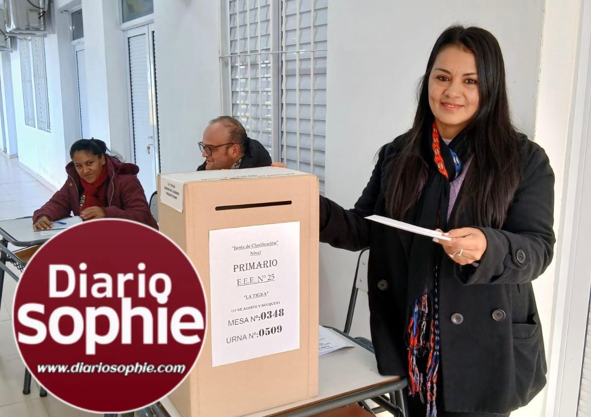 ELECCIONES EN JUNTA DE NIVEL PRIMARIO RESISTENCIA: LOS DOCENTES CONCURRIERON A LAS URNAS
