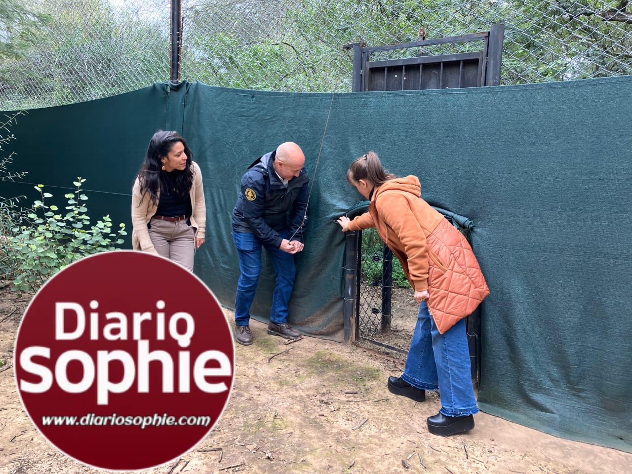 PARQUE NACIONAL EL IMPENETRABLE: LA VICEGOBERNADORA SCHNEIDER ACOMPAÑÓ LA LIBERACIÓN DE LA YAGUARETÉ “QUIYOC”