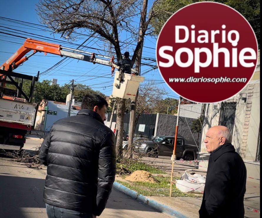 SECHEEP REFUERZA EL ALUMBRADO PÚBLICO CON TAREAS DE PODA RESPONSABLE EN EL CENTRO Y BARRIOS DEL GRAN RESISTENCIA