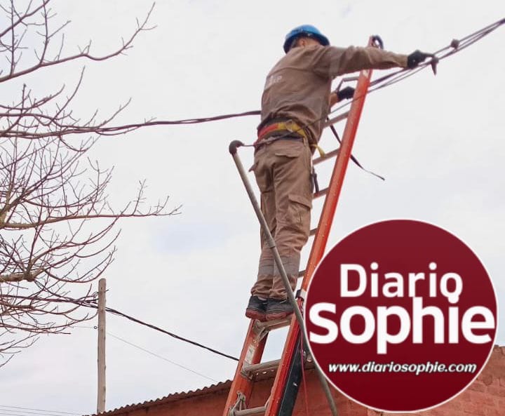 SECHEEP: AVANZA EL PLAN DE INFRAESTRUCTURA ELÉCTRICA EN CASTELLI Y EL SAUZALITO