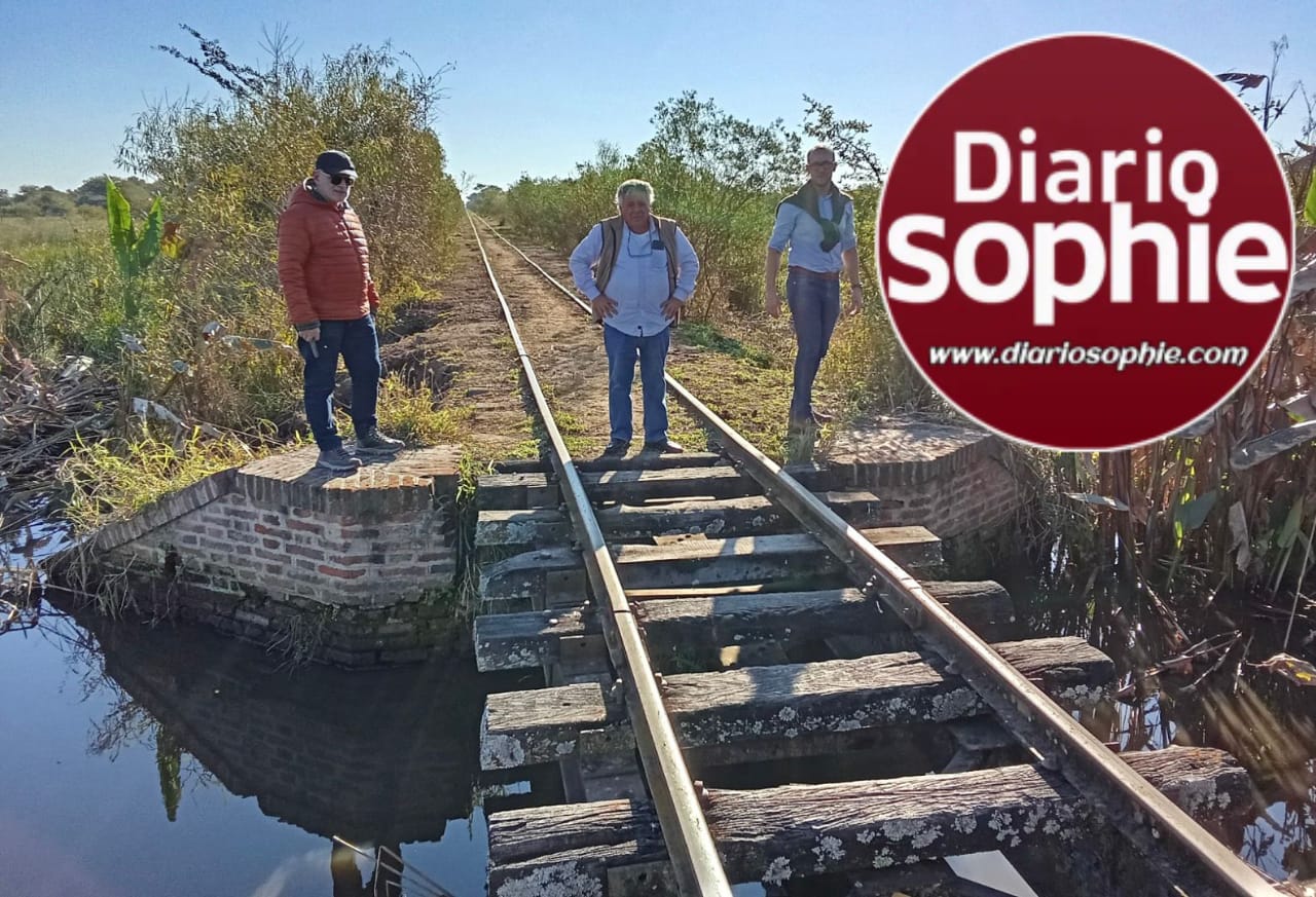 ZONA RURAL DE PLAZA: EL GOBIERNO PROVINCIAL AVANZA CON OBRAS DE DRENAJE EN EL CENTRO CHAQUEÑO