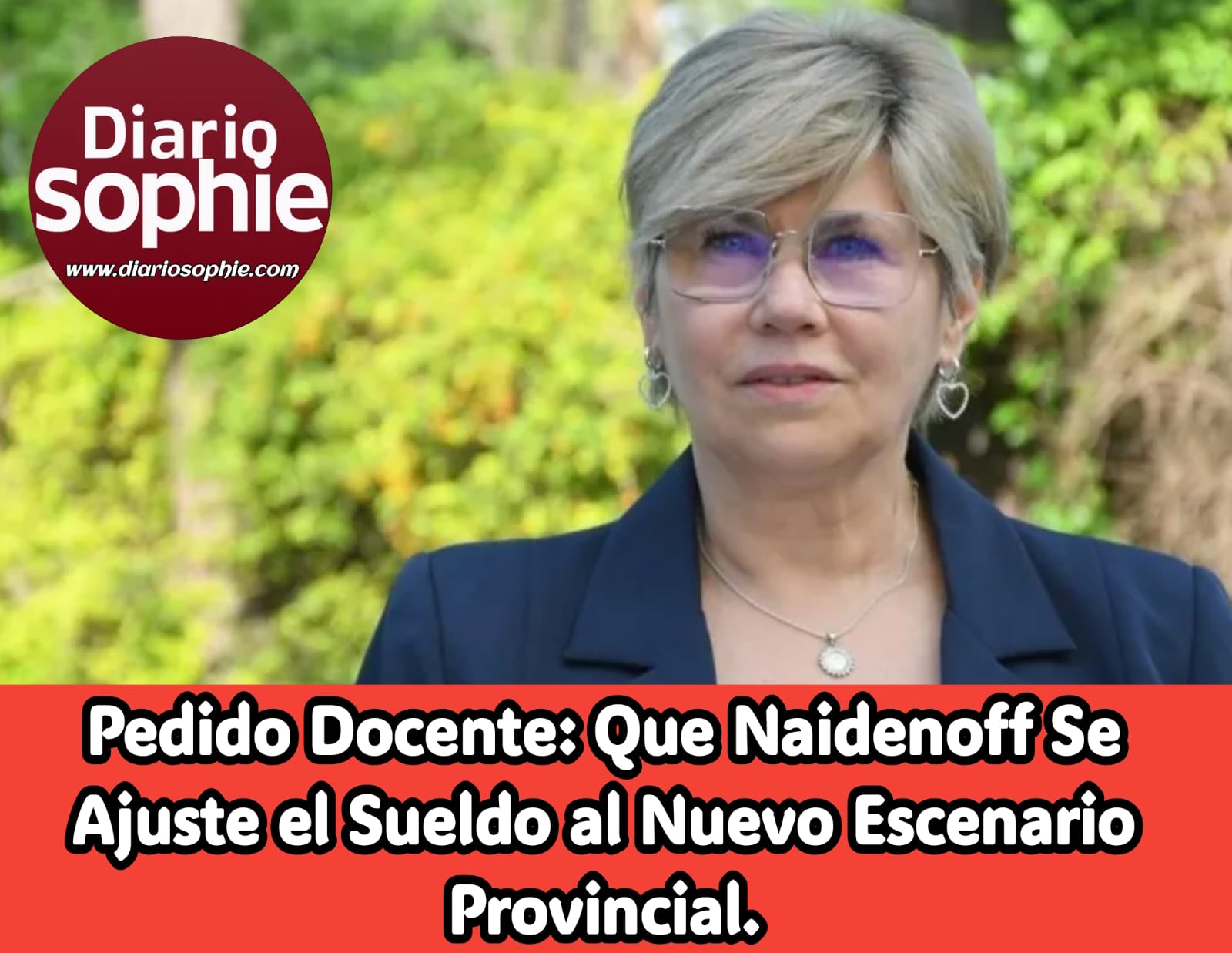 PEDIDO DOCENTE: QUE LA MINISTRA SOFÍA NAIDENOFF SE AJUSTE EL SUELDO AL NUEVO ESCENARIO PROVINCIAL.
