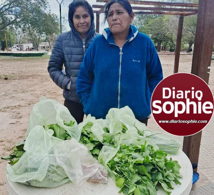 Misión Nueva Pompeya: Verduras orgánicas, el sabor auténtico de la naturaleza.