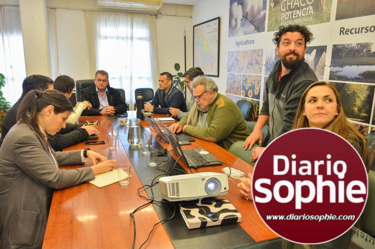 PROPUESTAS DE FINANCIAMIENTO PARA PEQUEÑOS Y MEDIANOS PRODUCTORES DE EL IMPENETRABLE