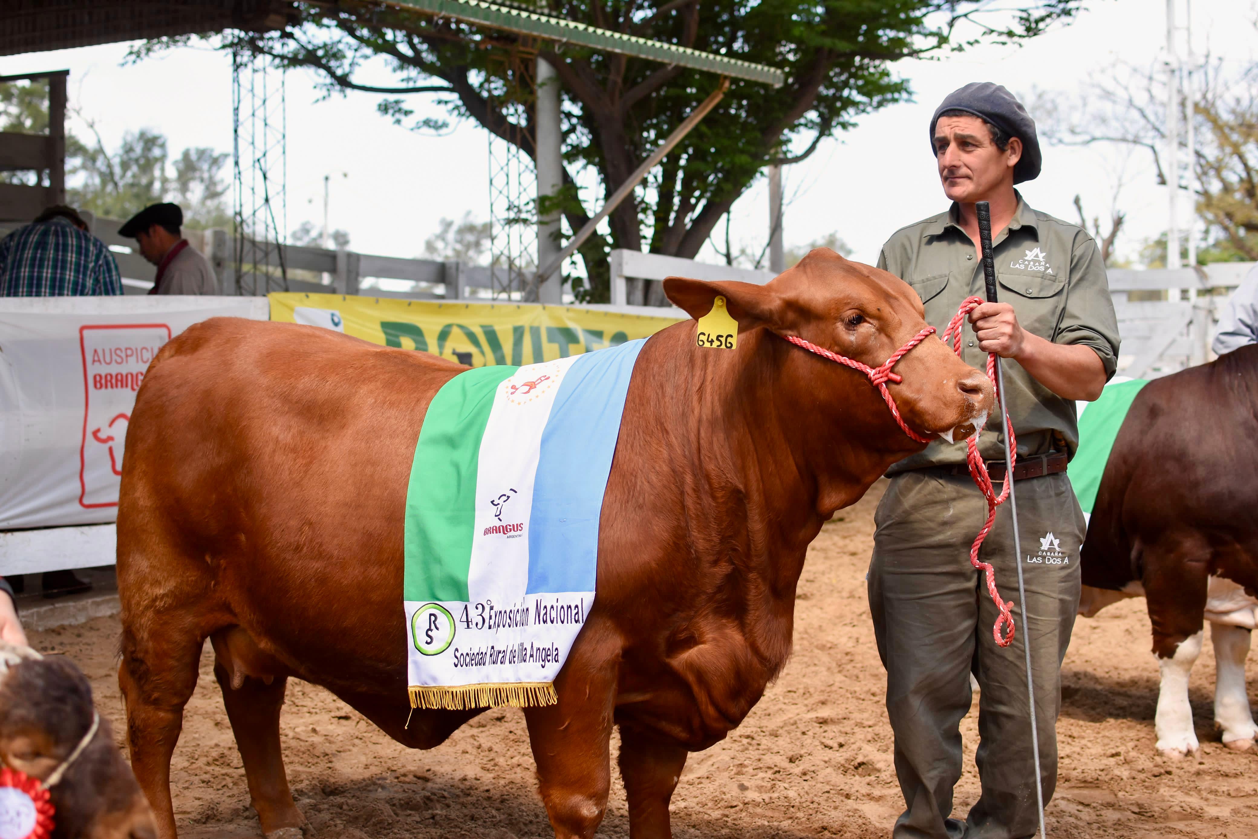 VILLA ÁNGELA: CON LA PRESENCIA DEL GOBERNADOR ZDERO COMENZÓ LA 43º EXPOSICIÓN RURAL 2024