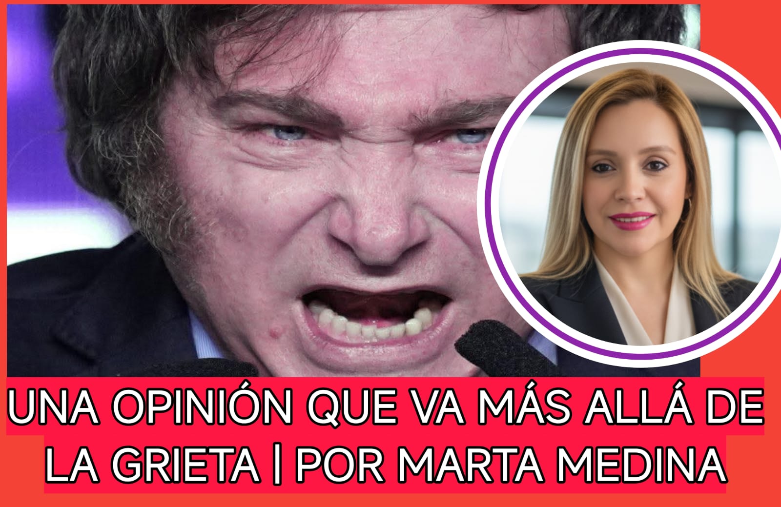 UNA OPINIÓN QUE VA MÁS ALLÁ DE LA GRIETA | POR MARTA MEDINA