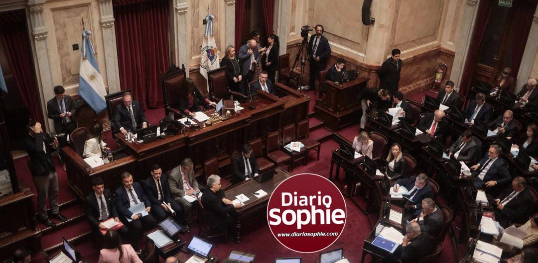 NUEVA DERROTA PARA EL GOBIERNO EN EL SENADO