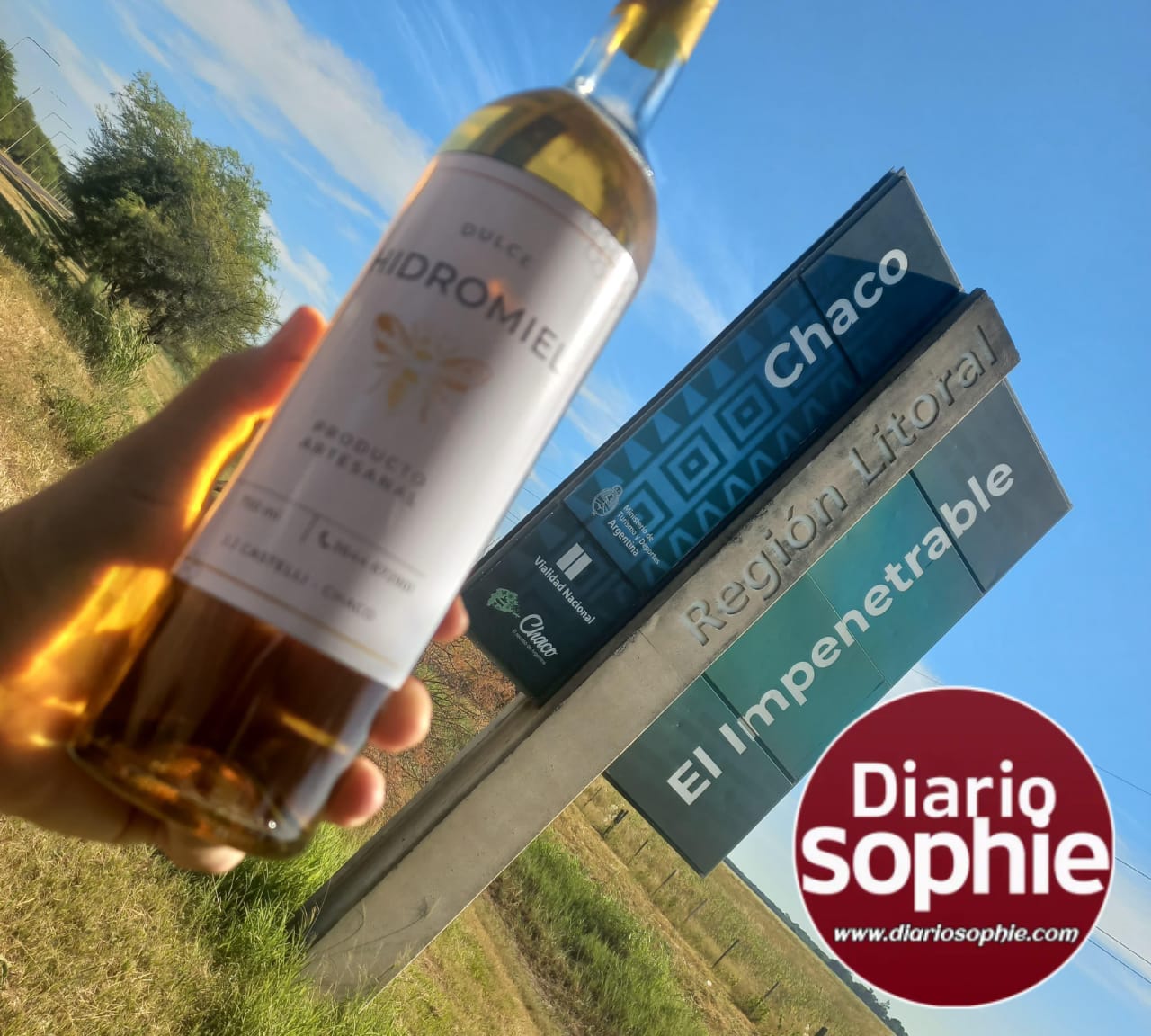 LA MIEL CHAQUEÑA EN LA CIMA DEL PAÍS: 5 MEDALLAS PARA EL CHACO, EN EL CONCURSO NACIONAL DE HIDROMIEL