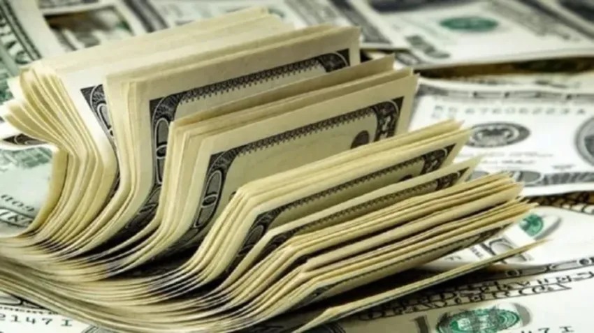 LA CRISIS DEL DÓLAR: BILLETERAS VIRTUALES SUSPENDEN LA VENTA DE DIVISA OFICIAL