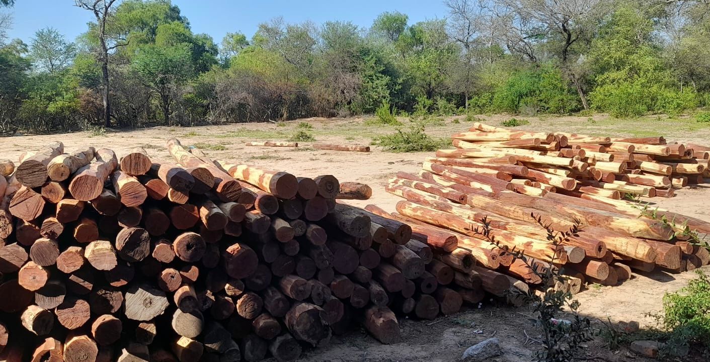 FUERTE ESPERANZA: BOSQUES SECUESTRÓ 350 POSTES DE QUEBRACHO COLORADO.