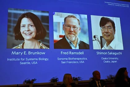 PREMIO NOBEL DE MEDICINA 2025: RECONOCIMIENTO A LOS GUARDIANES DEL SISTEMA INMUNITARIO