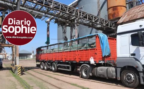 PUERTO DE BARRANQUERAS EXPORTÓ 300 TONELADAS DE TRIGO A BOLIVIA.