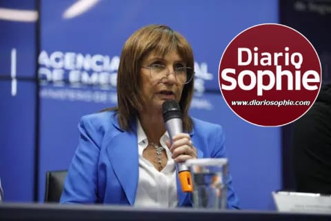 PATRICIA BULLRICH ARREMETIÓ CONTRA LOS GOBERNADORES DE PROVINCIAS UNIDAS: 
