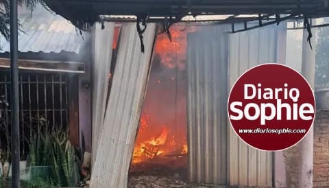 TERRIBLE INCENDIO POR CHISPAS DE SOLDADURA EN UNA CASA DE SAN MARTÍN: DOS PERROS MUERTOS.