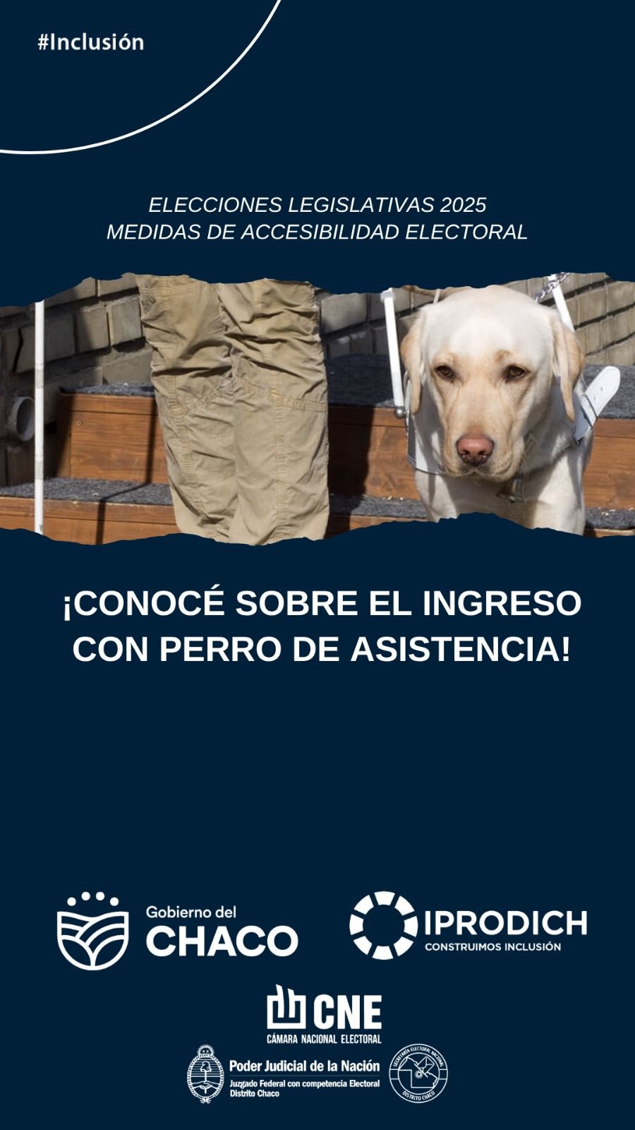 BOLETA ÚNICA DE PAPEL (BUP) Y MEDIDAS DE ACCESIBILIDAD ELECTORAL 2025 PARA PERSONAS CON DISCAPACIDAD.