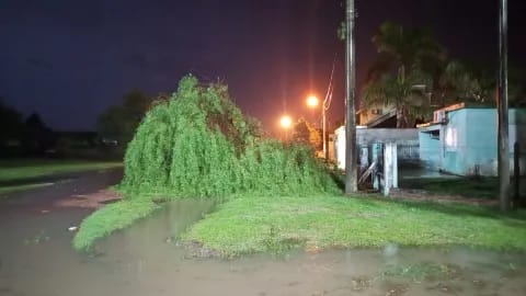 🌧️ TEMPORAL EN GRAN PARTE DE CHACO: LOS REGISTROS DE LLUVIA POR LOCALIDAD
