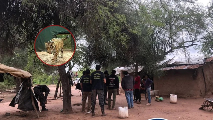 CASO ACAÍ: ALLANARON DOMICILIOS EN EL ESPINILLO Y SECUESTRARON CELULARES Y UN ARMA DE FUEGO