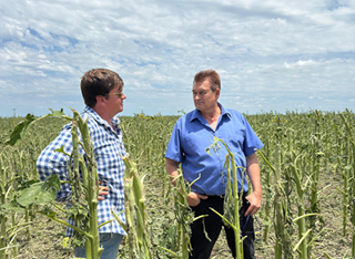 EL MINISTERIO DE LA PRODUCCIÓN RELEVÓ LOS DAÑOS POR LA TORMENTA EN HERMOSO CAMPO Y EN MESÓN DE FIERRO